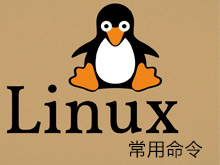 Linux常用命令大全，都是经常用的命令